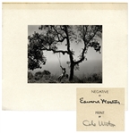 Edward Westons Winter Idyll, Printed & Signed in a Limited Edition by Cole Weston